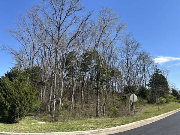 0 Wildcat Way, Lebanon, TN 37090