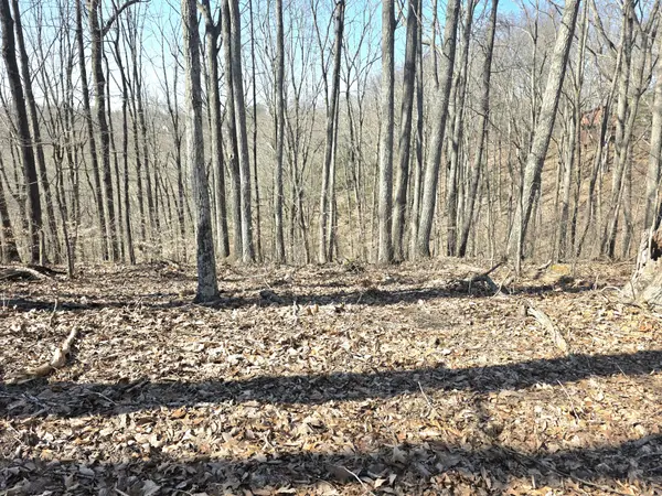 0 Windy Cut Dr, Dowelltown, TN 37059