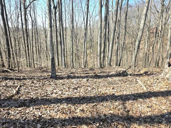 0 Windy Cut Dr, Dowelltown, TN 37059
