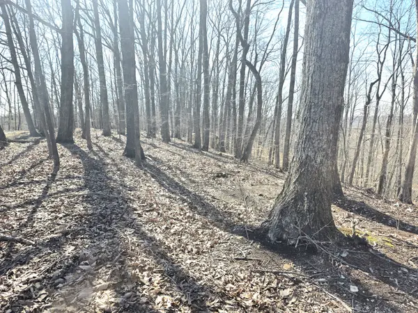 0 Windy Cut Dr, Dowelltown, TN 37059
