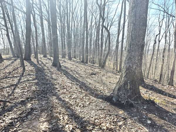 0 Windy Cut Dr, Dowelltown, TN 37059