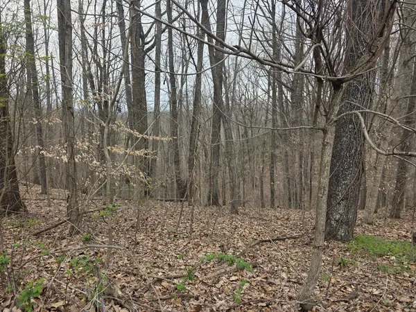 0 Windy Cut Dr, Dowelltown, TN 37059