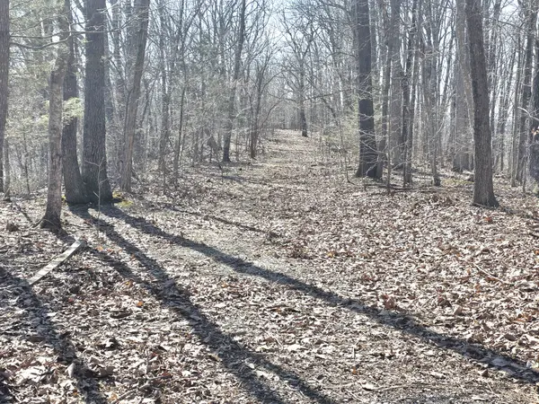 0 Windy Cut Dr, Dowelltown, TN 37059