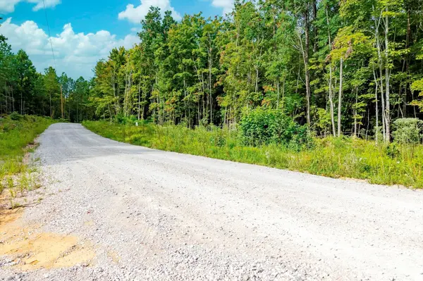 0 Spokelay Rd, Spencer, TN 38585