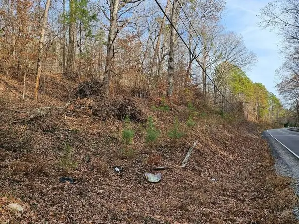 7 Smyrna Road, Evensville, TN 37332