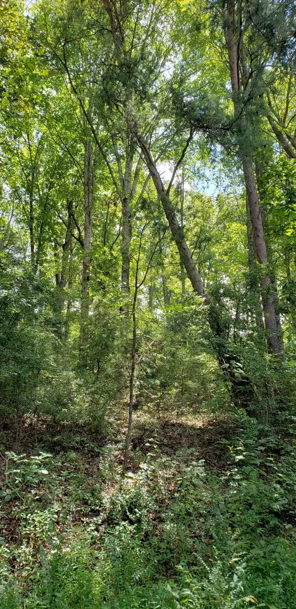 0 Treeline Drive, Dunlap, TN 37327