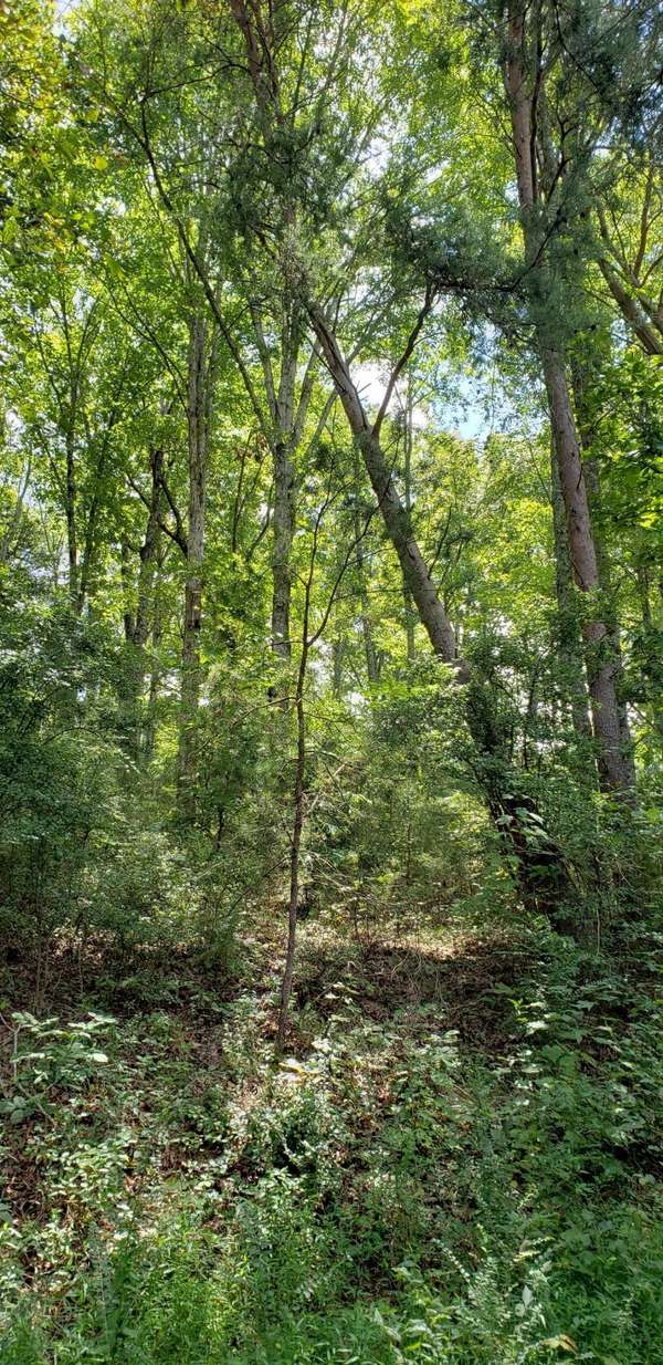 0 Treeline Drive, Dunlap, TN 37327