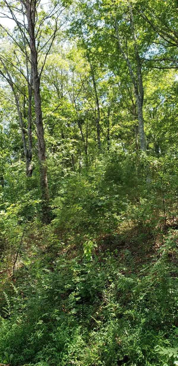 0 Treeline Drive, Dunlap, TN 37327