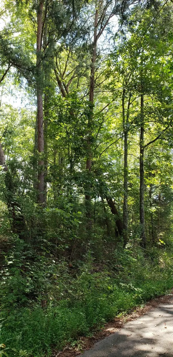 0 Treeline Drive, Dunlap, TN 37327