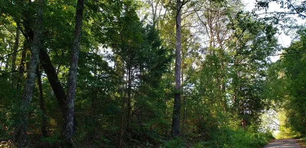 0 Treeline Drive, Dunlap, TN 37327