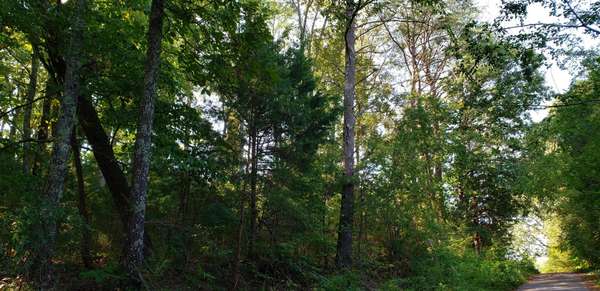 0 Treeline Drive, Dunlap, TN 37327