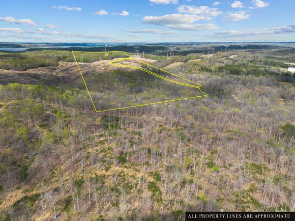 0 Nell Beard Rd, New Johnsonville, TN 37134