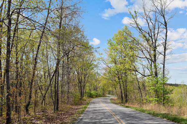 0 Nell Beard Rd, New Johnsonville, TN 37134