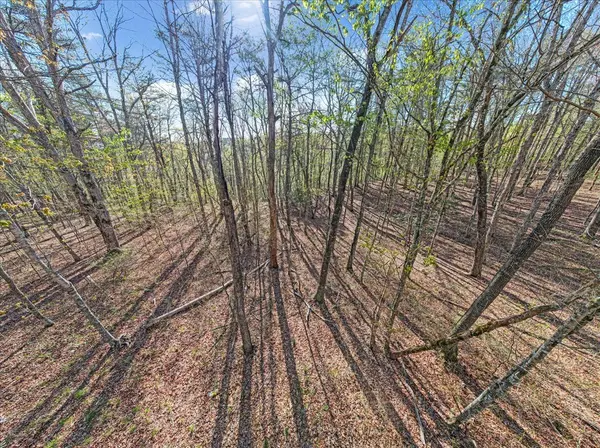 1 Seagroves Rd, Tracy City, TN 37387