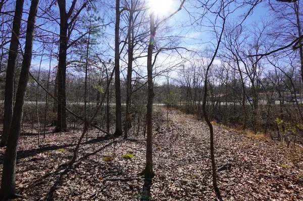 0 Donelson Pkwy, Dover, TN 37058