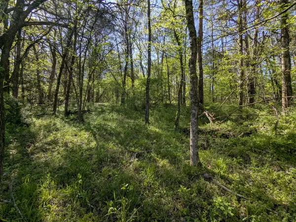5 Old Stage Road, Ardmore, TN 38449