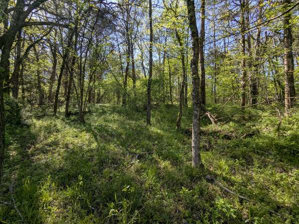5 Old Stage Road, Ardmore, TN 38449