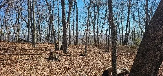 1 Vista View Drive #S, Dunlap, TN 37327