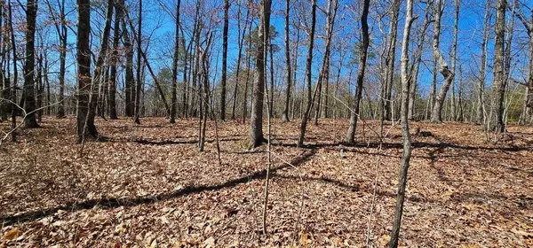 1 Vista View Drive #S, Dunlap, TN 37327