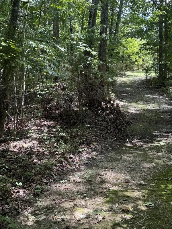 0 Mountain Lake Circle, Pikeville, TN 37367