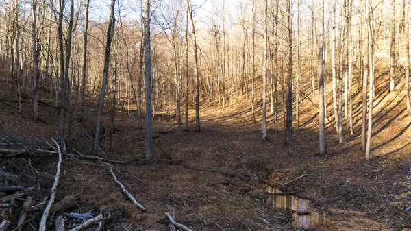 0 Bull Run Road, Ashland City, TN 37015