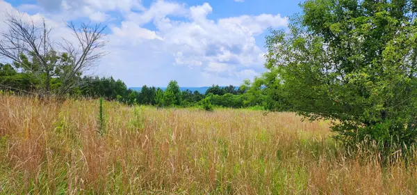 5199 Burkett Chapel Rd, Whitwell, TN 37397