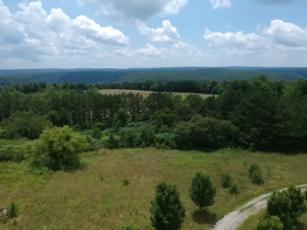 5199 Burkett Chapel Rd, Whitwell, TN 37397