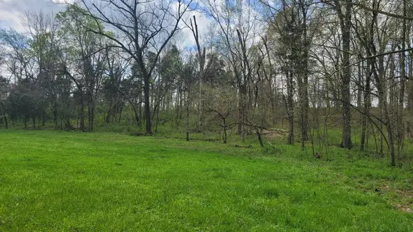 3 Pass Rd, Shelbyville, TN 37160