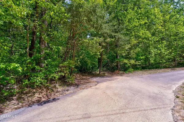 650 Silver Poplar Lane, Sevierville, TN 37876