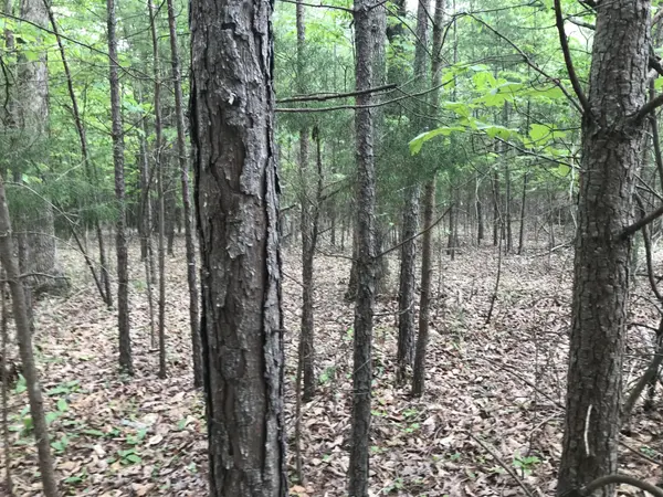 0 Bluffview Drive, Dunlap, TN 37327