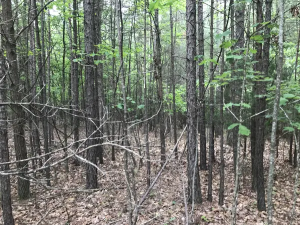 0 Bluffview Drive, Dunlap, TN 37327