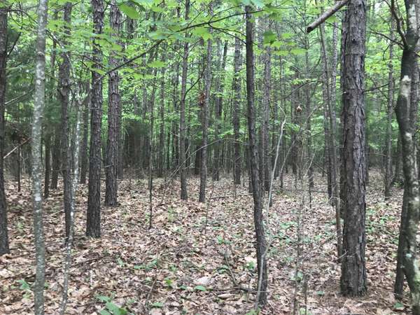 0 Bluffview Drive, Dunlap, TN 37327