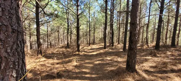 1 Saddleback Dr, Dover, TN 37058