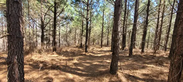 1 Saddleback Dr, Dover, TN 37058