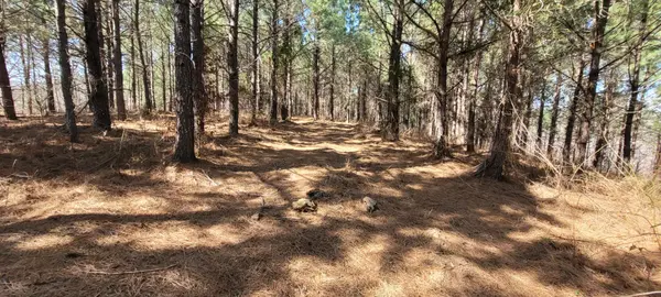 1 Saddleback Dr, Dover, TN 37058
