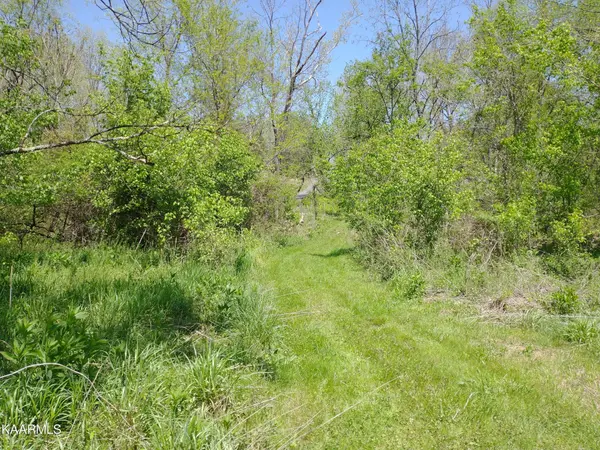 420 Winding Ridge Tr, Seymour, TN 37865