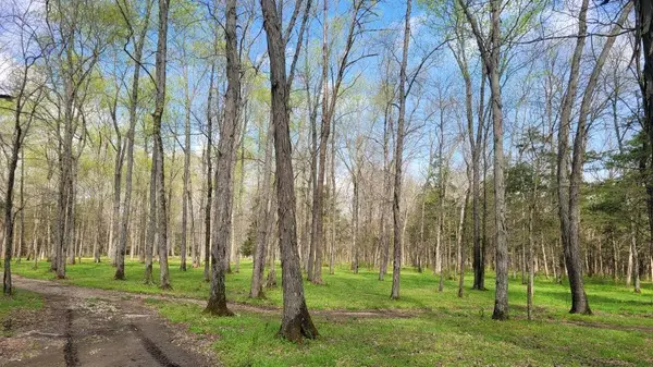 5 Pass Rd, Shelbyville, TN 37160