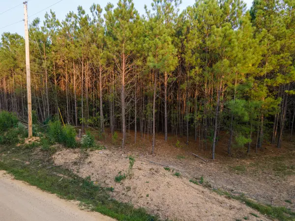 538 Seiber Ridge Road, Hohenwald, TN 38462