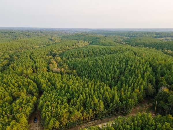 538 Seiber Ridge Road, Hohenwald, TN 38462