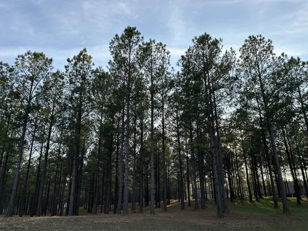 362 Cumberland Circle, Jasper, TN 37347