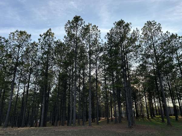 362 Cumberland Circle, Jasper, TN 37347