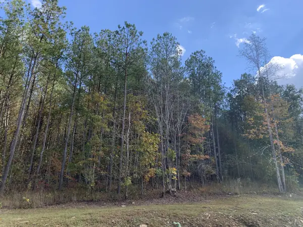 4910 Raulston Falls Road, Jasper, TN 37347