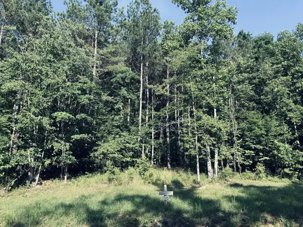 4910 Raulston Falls Road, Jasper, TN 37347