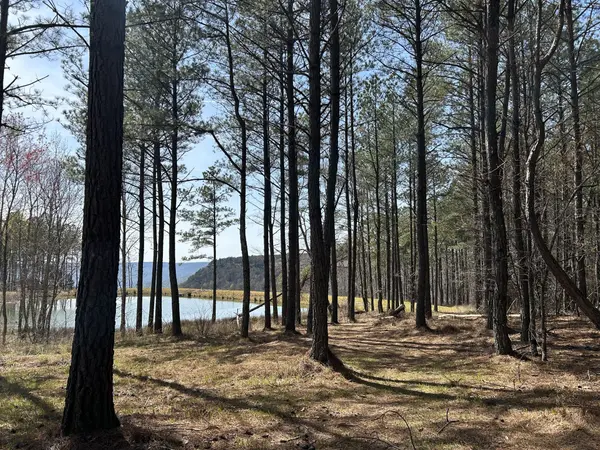 4093 Raulston Falls Road, Jasper, TN 37347