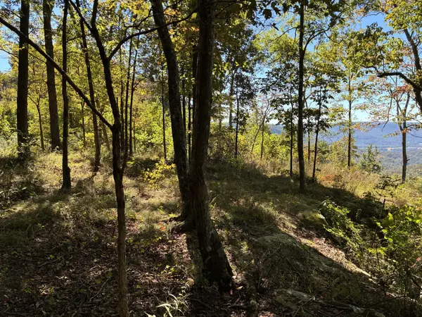 4093 Raulston Falls Road, Jasper, TN 37347