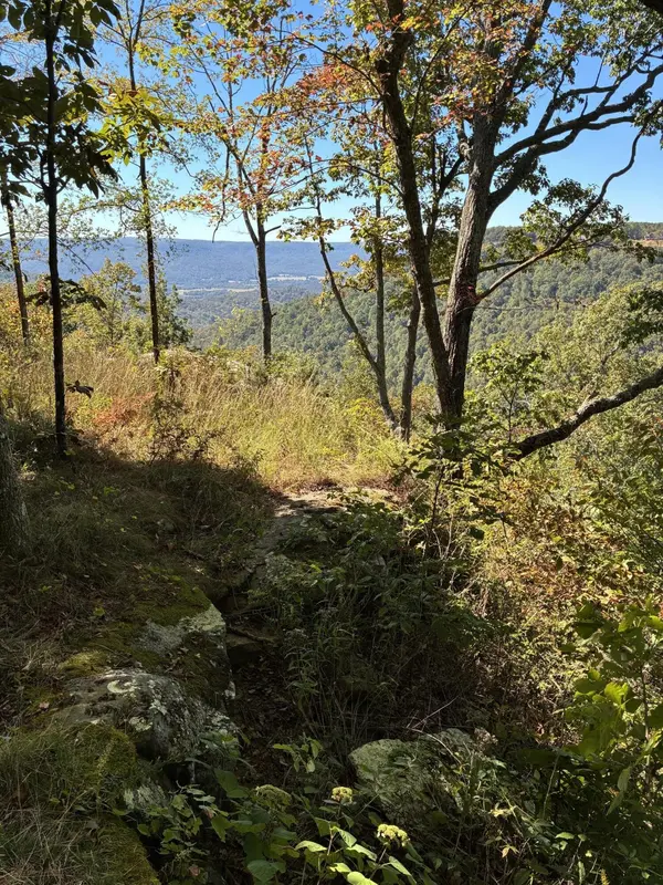 4093 Raulston Falls Road, Jasper, TN 37347