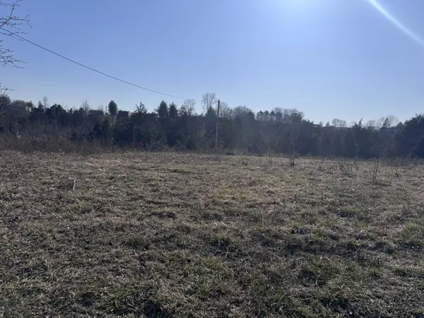 0 Ward Hollow Road, Brush Creek, TN 38547