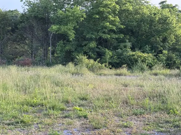 0 Ward Hollow Road, Brush Creek, TN 38547