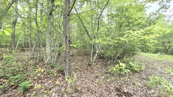 6070 Raulston Falls Road, Jasper, TN 37347