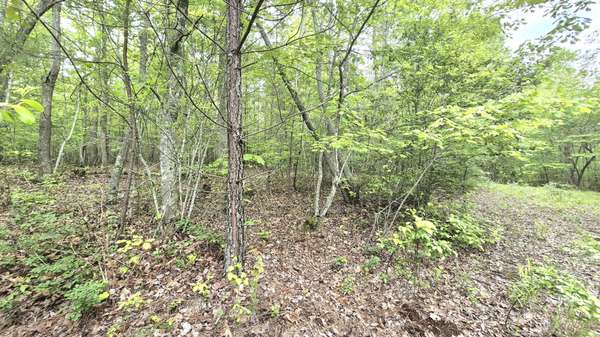 6070 Raulston Falls Road, Jasper, TN 37347